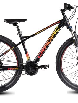 Storm 27 Speed with 29wheels